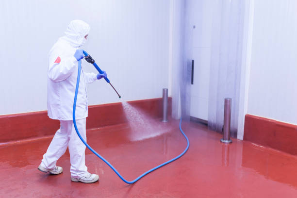 Best Spring Cleaning  in Troy, TX
